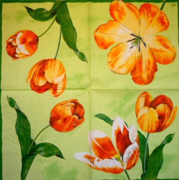 081 Tulpen - 3-lagig (rot/grün) - Ihr
